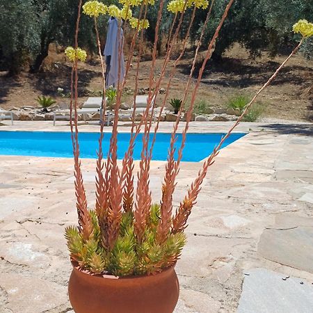 מלון Iznájar La Pluma מראה חיצוני תמונה